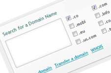 Domains + Hosting